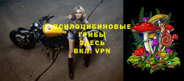 ешки Балахна