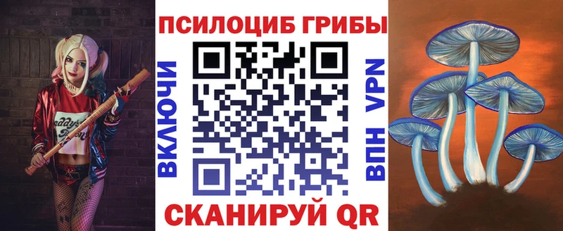 Купить  Мыски  Псилоцибиновые грибы мицелий 